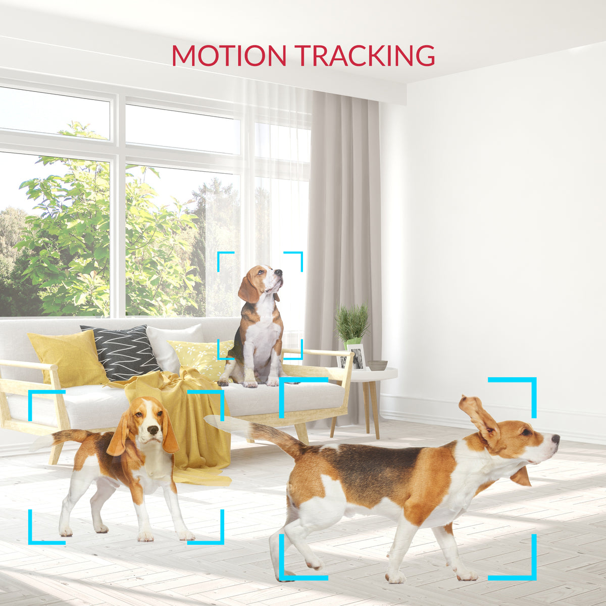 YI 2K indoor camera motion tracking for pets and home monitoring